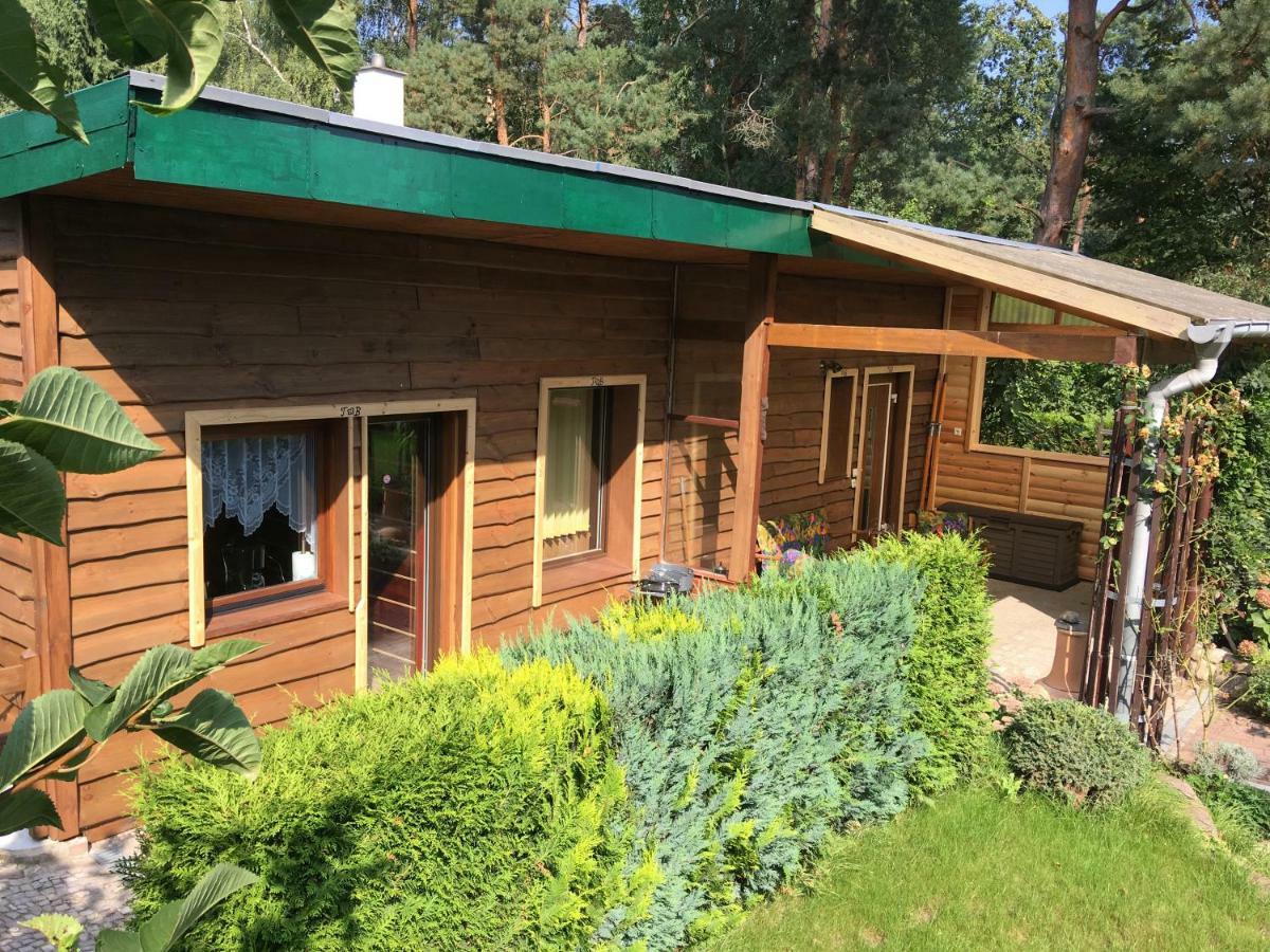 Holzhaus Trollbluemchen Am Wald Und See Neuruppin Exteriör bild